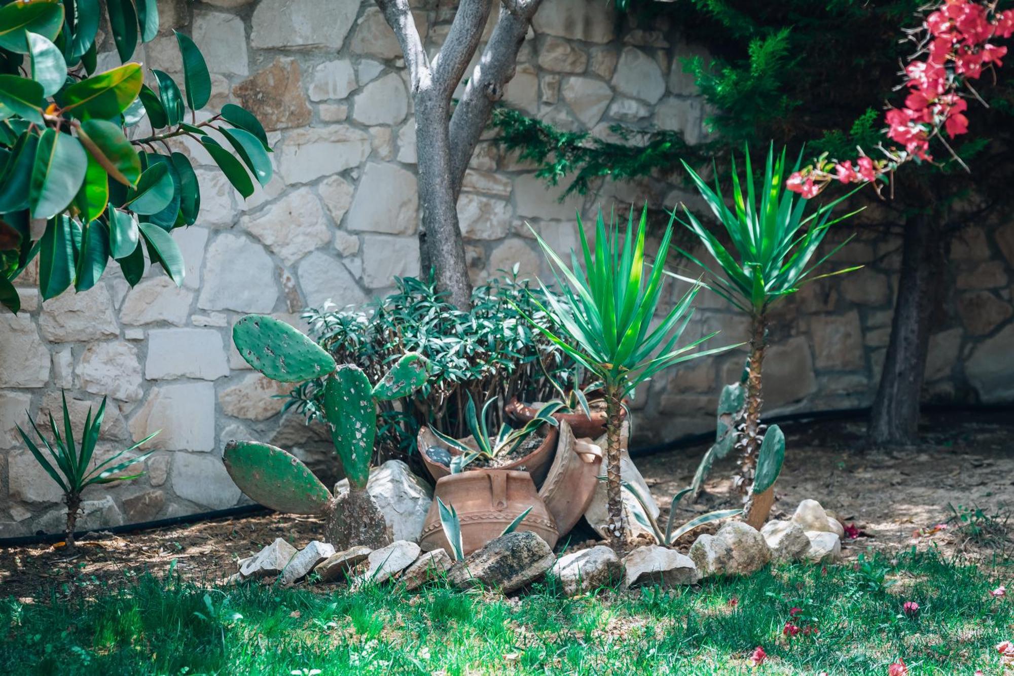 Villa Stafidaki ستالوس المظهر الخارجي الصورة